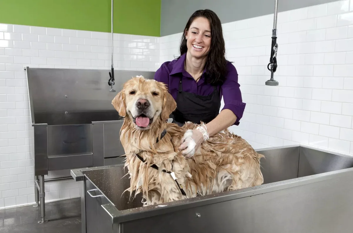 Self-service wash imagery from Green Dog Wash